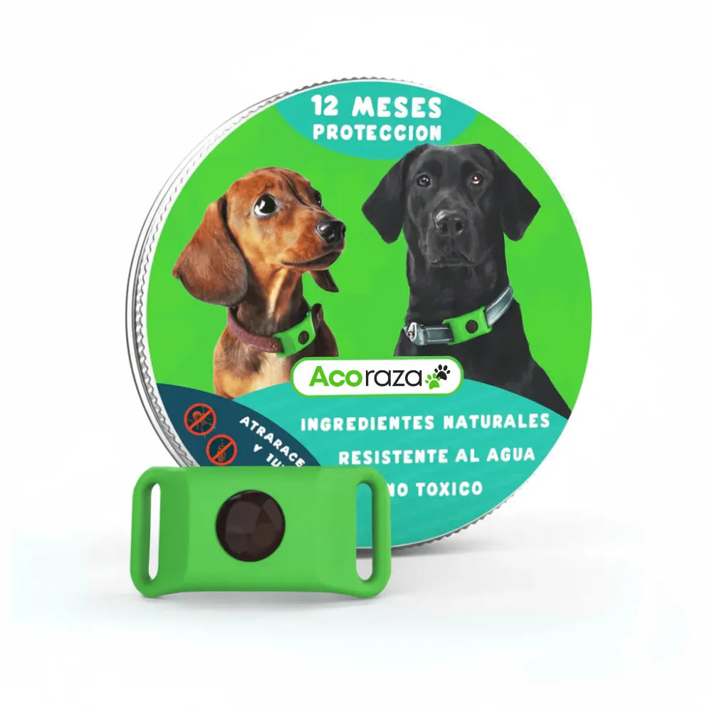 Acoraza: Elimina y protege a tu perro de garrapatas, flebótomos y pulgas por 12 meses