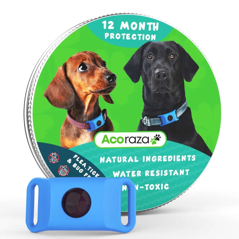 Acoraza: Elimina y protege a tu perro de garrapatas, flebótomos y pulgas por 12 meses