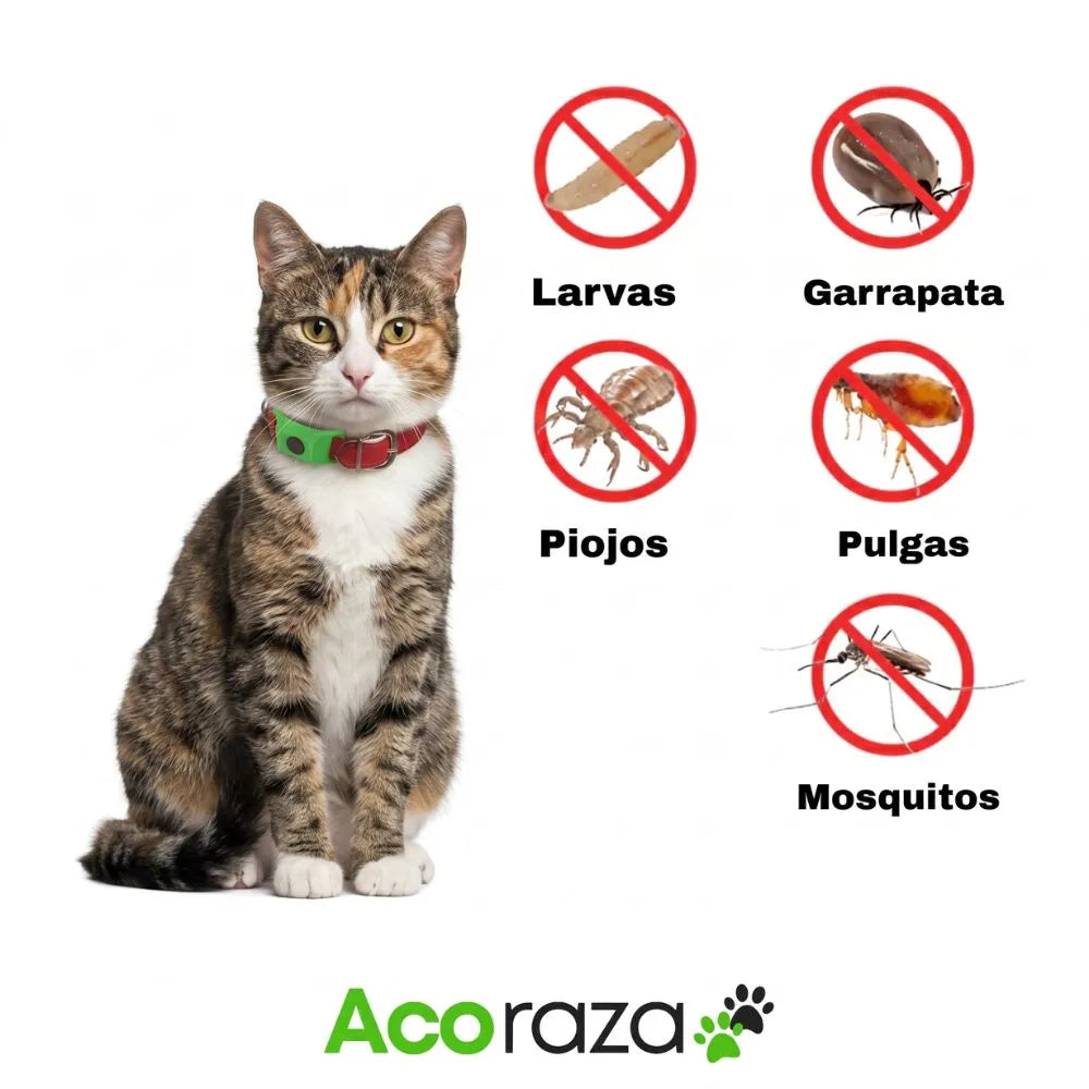 Acoraza: Protege a tu michi de pulgas por 12 meses sin envenenar su sangre