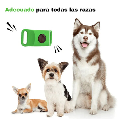 Acoraza: 12 meses libres de garrapatas y pulgas