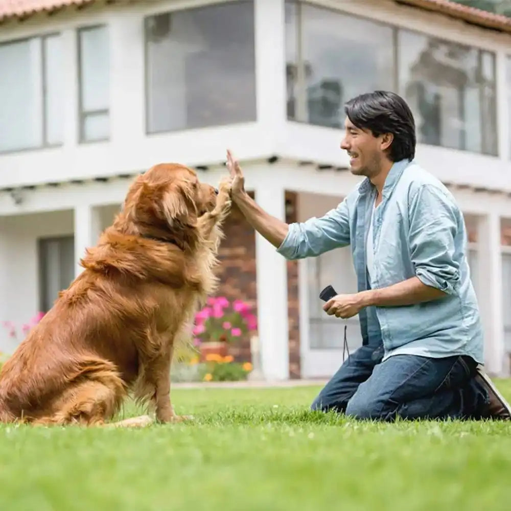 CanStop: Enseña a tu perro en 3 días a no ladrar tanto sin causarle dolor