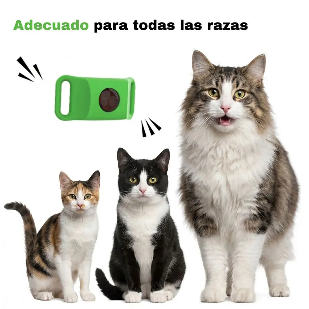 Acoraza: Protege a tu michi de pulgas por 12 meses sin envenenar su sangre
