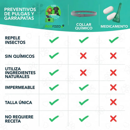 Acoraza: 12 meses libres de garrapatas y pulgas