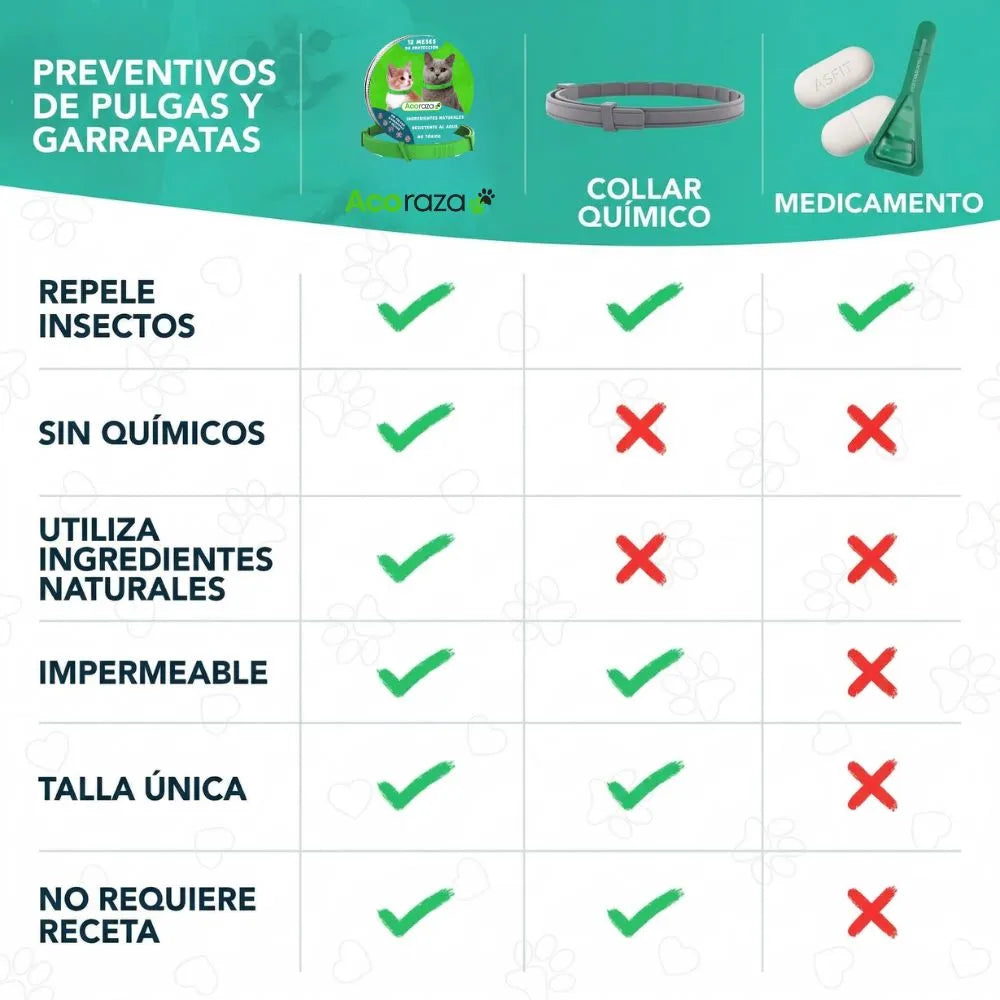 Acoraza: Protege a tu michi de pulgas por 12 meses sin envenenar su sangre