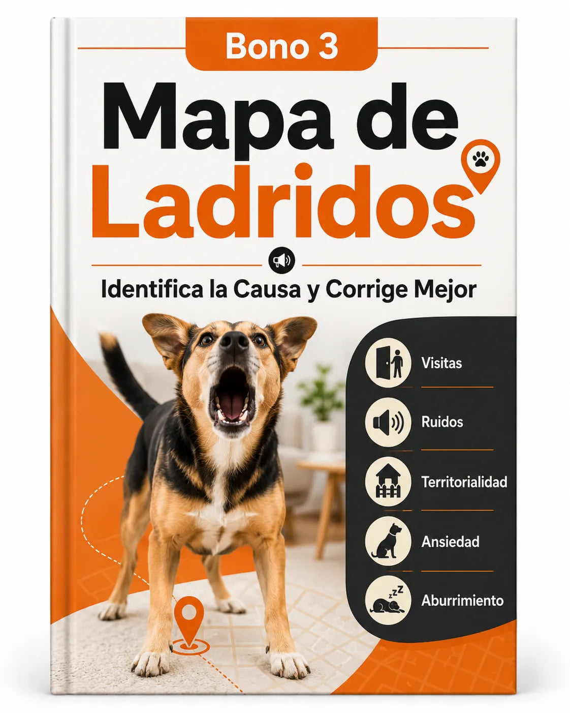 Mapa de Ladridos: Identifica la Causa y Corrige Mejor
