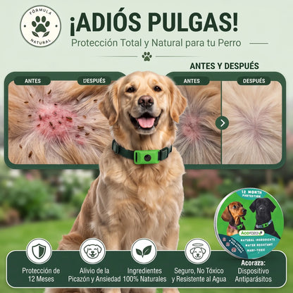 Acoraza: Elimina y protege a tu perro de garrapatas, flebótomos y pulgas por 12 meses