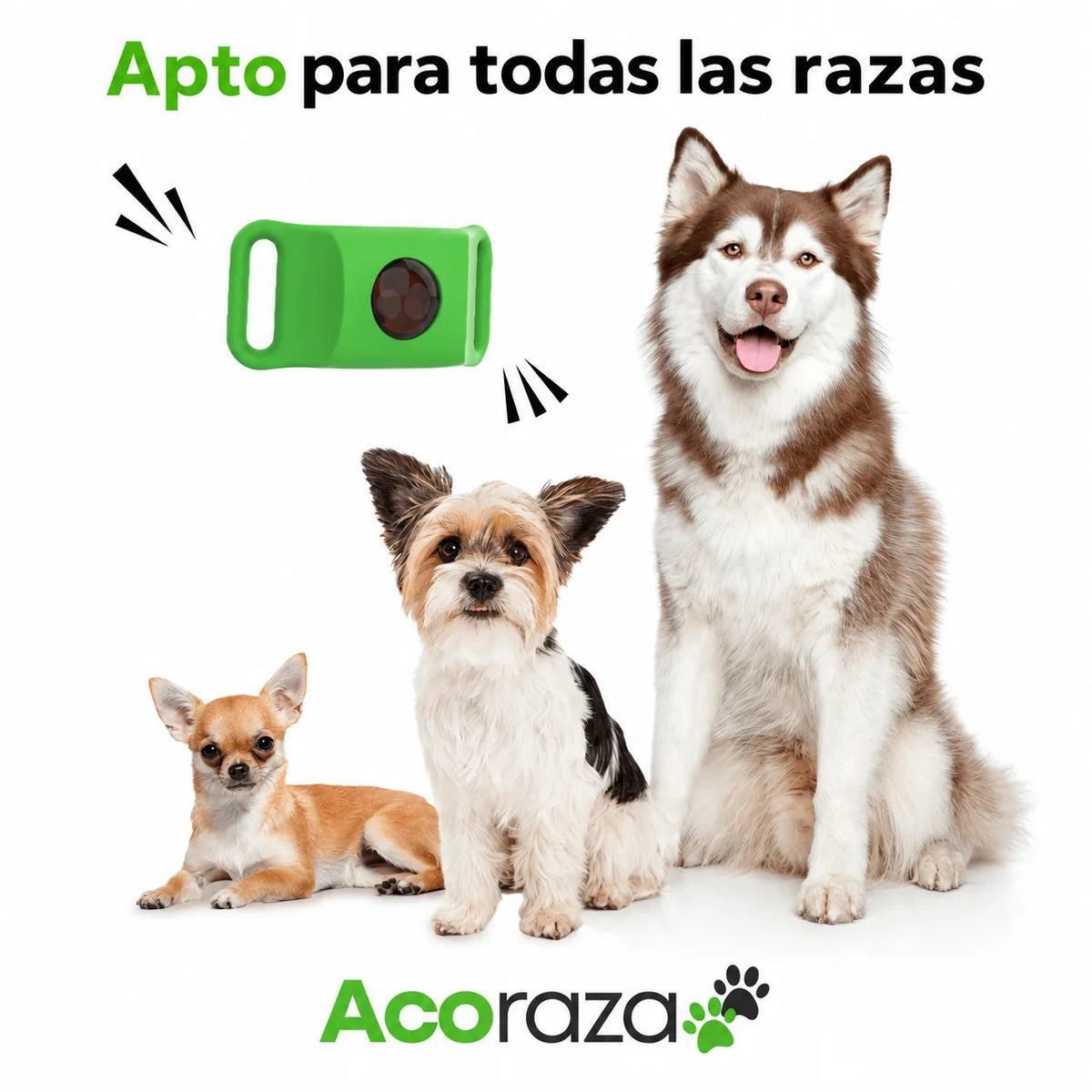 Acoraza para perros de todos los tamaños